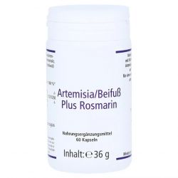 Артемизинин 150 мг капс. 60шт в Самаре и области фото