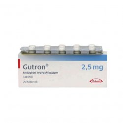 Гутрон таблетки 2,5 мг. №20 в Самаре и области фото